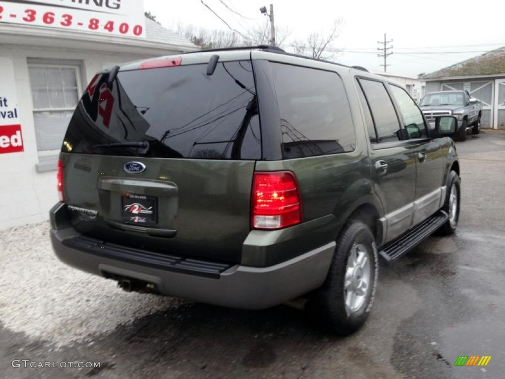 2003 Expedition XLT 4x4 - Estate Green Metallic / Medium Parchment photo #7
