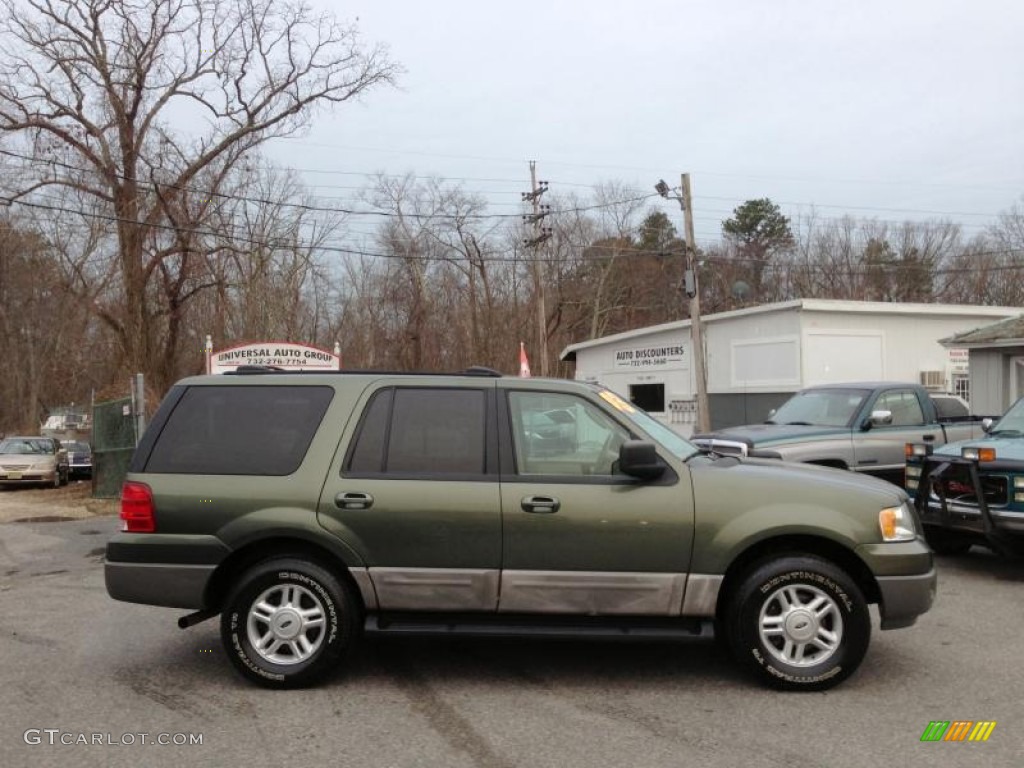 2003 Expedition XLT 4x4 - Estate Green Metallic / Medium Parchment photo #8