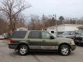 2003 Estate Green Metallic Ford Expedition XLT 4x4  photo #8