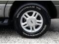 2003 Estate Green Metallic Ford Expedition XLT 4x4  photo #12