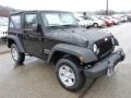 Black - Wrangler Sport 4x4 Photo No. 10