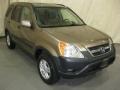 Mojave Mist Metallic - CR-V EX 4WD Photo No. 3