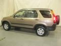 Mojave Mist Metallic - CR-V EX 4WD Photo No. 9
