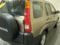 Mojave Mist Metallic - CR-V EX 4WD Photo No. 12