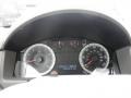 Stone Gauges Photo for 2008 Ford Escape #76004335