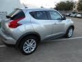 Chrome Silver - Juke SV Photo No. 7