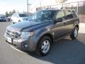 2011 Sterling Grey Metallic Ford Escape XLT 4WD  photo #3