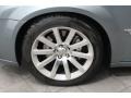 Silver Steel Metallic - 300 C SRT8 Photo No. 27
