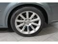 Silver Steel Metallic - 300 C SRT8 Photo No. 29