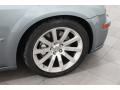 Silver Steel Metallic - 300 C SRT8 Photo No. 30