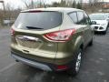 2013 Ginger Ale Metallic Ford Escape SEL 2.0L EcoBoost 4WD  photo #2