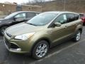 Ginger Ale Metallic 2013 Ford Escape SEL 2.0L EcoBoost 4WD Exterior
