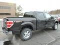 2013 Kodiak Brown Metallic Ford F150 XLT SuperCrew 4x4  photo #2