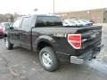 Kodiak Brown Metallic - F150 XLT SuperCrew 4x4 Photo No. 4