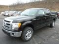 2013 Kodiak Brown Metallic Ford F150 XLT SuperCrew 4x4  photo #5