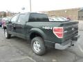 2013 Green Gem Metallic Ford F150 XLT SuperCrew 4x4  photo #4