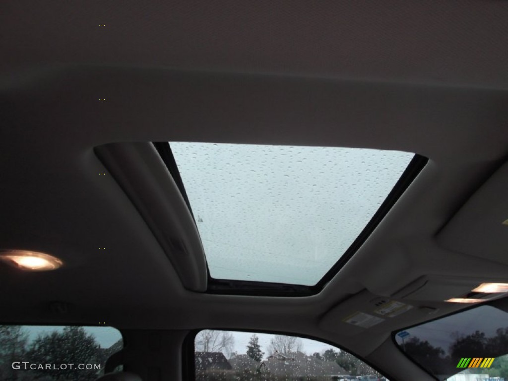 2010 F150 Platinum SuperCrew - Ingot Silver Metallic / Medium Stone Leather/Sienna Brown photo #6
