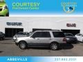 Silver Birch Metallic 2007 Ford Expedition XLT