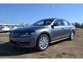 2013 Platinum Gray Metallic Volkswagen Passat 2.5L SEL  photo #1