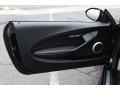 Black 2010 BMW M6 Coupe Door Panel