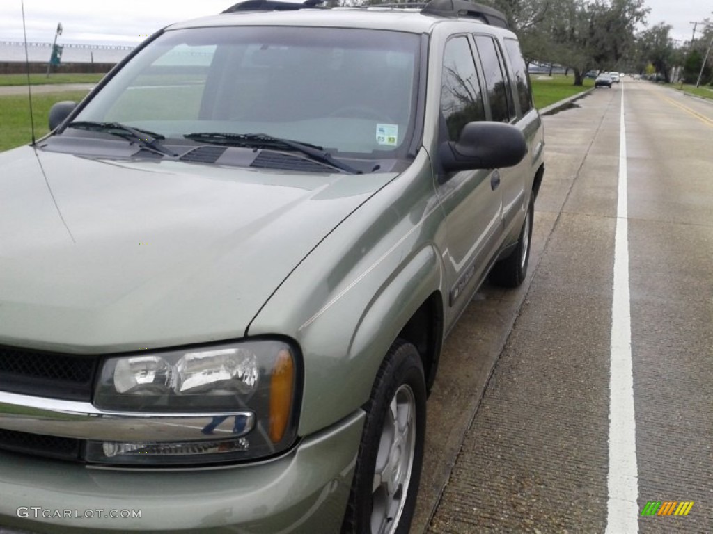 2004 TrailBlazer EXT LS - Silver Green Metallic / Medium Pewter photo #5