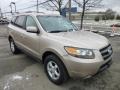 2007 Golden Beige Hyundai Santa Fe GLS 4WD  photo #1