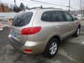 2007 Golden Beige Hyundai Santa Fe GLS 4WD  photo #7