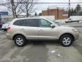 2007 Golden Beige Hyundai Santa Fe GLS 4WD  photo #8