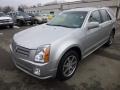 Light Platinum Metallic 2004 Cadillac SRX V8 Exterior
