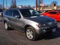 Stratus Grey Metallic - X5 4.4i Photo No. 2
