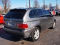 Stratus Grey Metallic - X5 4.4i Photo No. 3