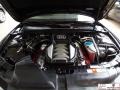Phantom Black Pearl Effect - S5 4.2 FSI quattro Coupe Photo No. 25
