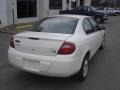 Stone White - Neon SXT Photo No. 22