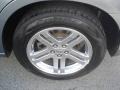 Silver Steel Metallic - Charger R/T Photo No. 11
