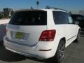 Polar White - GLK 350 Photo No. 4