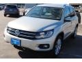 White Gold Metallic - Tiguan SE Photo No. 3