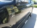 2002 Black Ford F150 XLT SuperCrew  photo #7