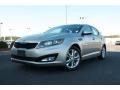Bright Silver - Optima LX Photo No. 1