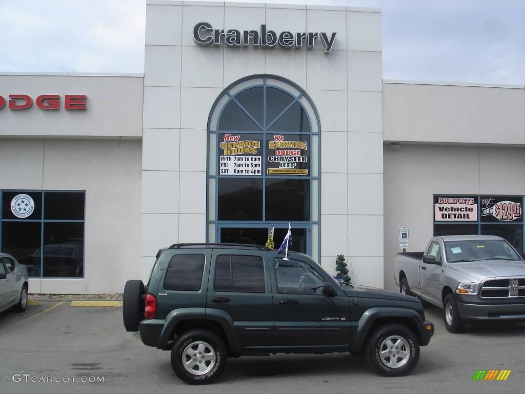 2002 Liberty Limited 4x4 - Shale Green Metallic / Taupe photo #1