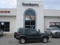 2002 Shale Green Metallic Jeep Liberty Limited 4x4  photo #1