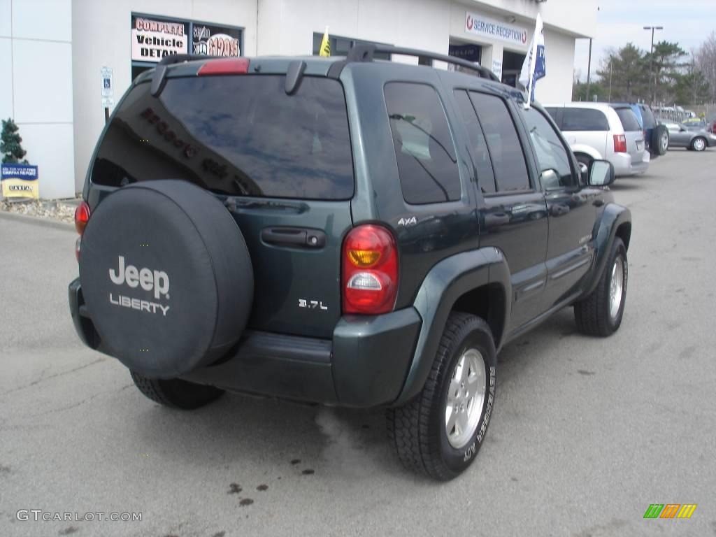 2002 Liberty Limited 4x4 - Shale Green Metallic / Taupe photo #2
