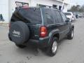 2002 Shale Green Metallic Jeep Liberty Limited 4x4  photo #2