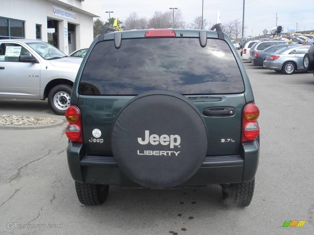 2002 Liberty Limited 4x4 - Shale Green Metallic / Taupe photo #3