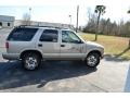 Light Pewter Metallic - Blazer LS 4x4 Photo No. 4