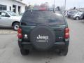 2002 Shale Green Metallic Jeep Liberty Limited 4x4  photo #3