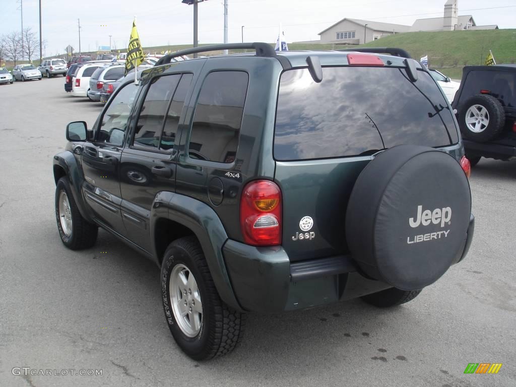 2002 Liberty Limited 4x4 - Shale Green Metallic / Taupe photo #4