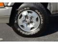 Light Pewter Metallic - Blazer LS 4x4 Photo No. 9