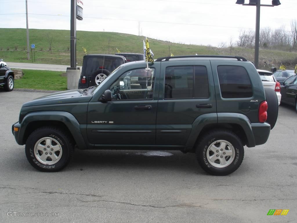 2002 Liberty Limited 4x4 - Shale Green Metallic / Taupe photo #5