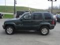 2002 Shale Green Metallic Jeep Liberty Limited 4x4  photo #5