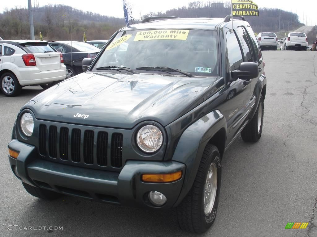 2002 Liberty Limited 4x4 - Shale Green Metallic / Taupe photo #16